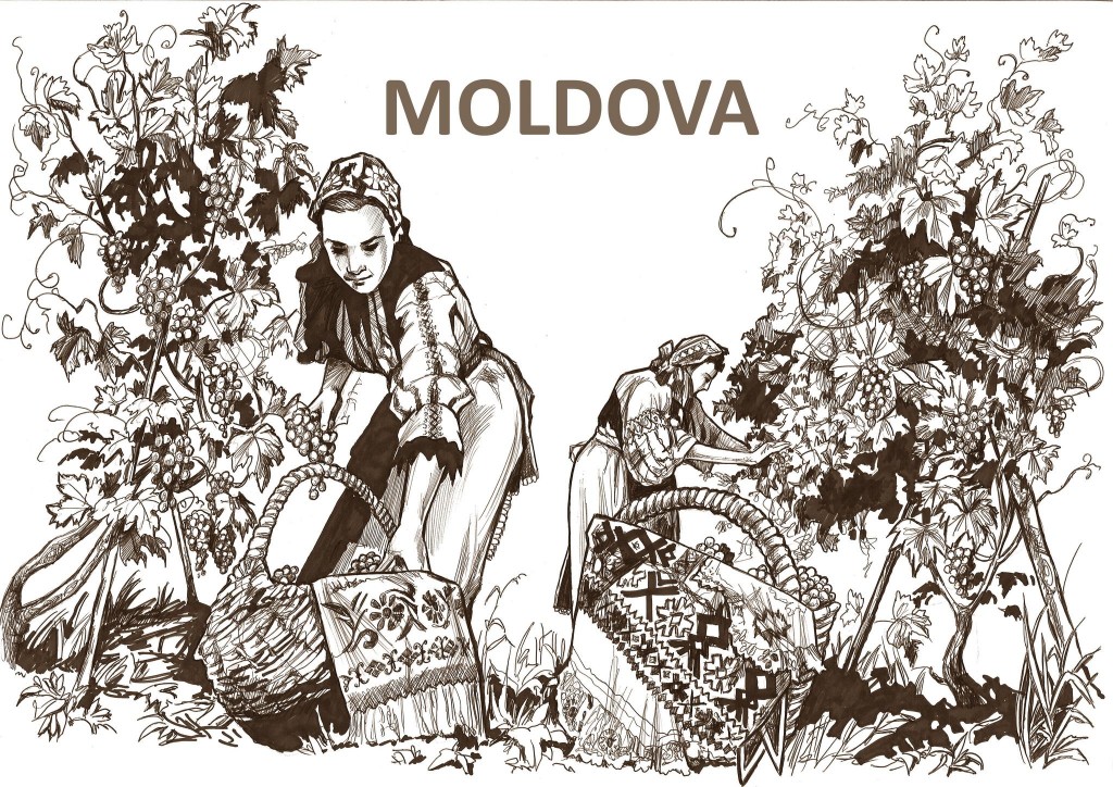 540387917_24786877120944190_51513711244567926_n