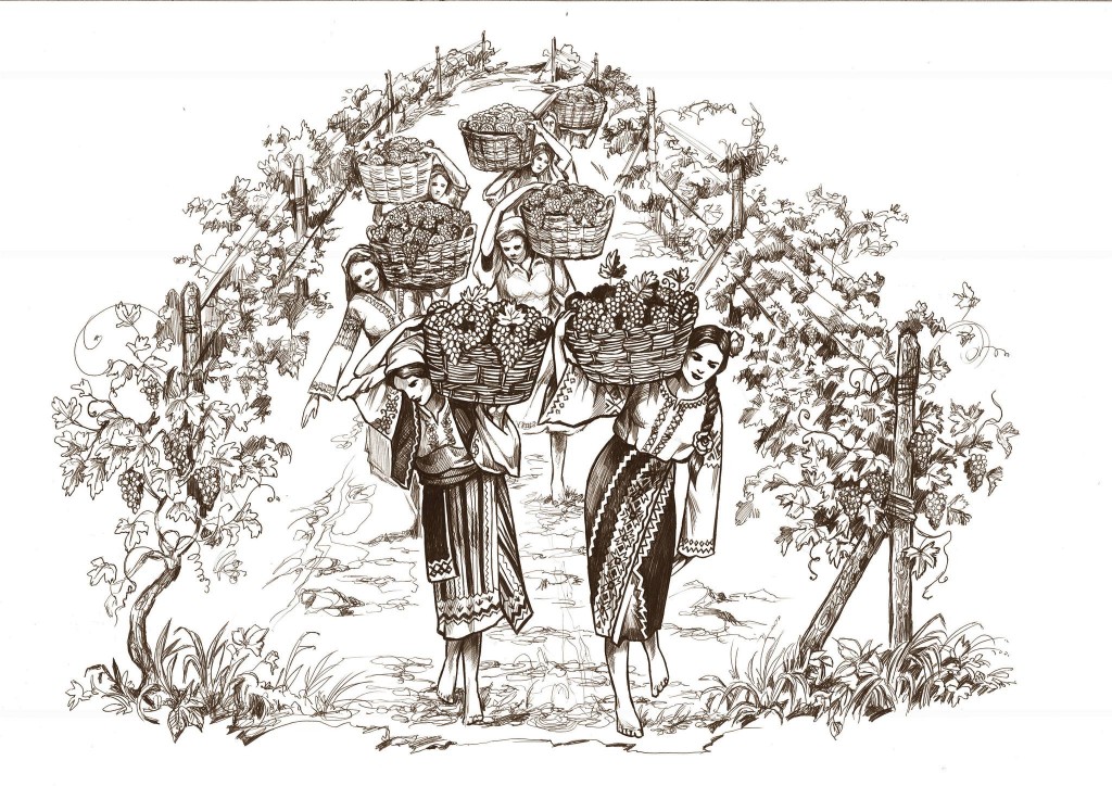 540950489_24786878034277432_9165798702968309492_n