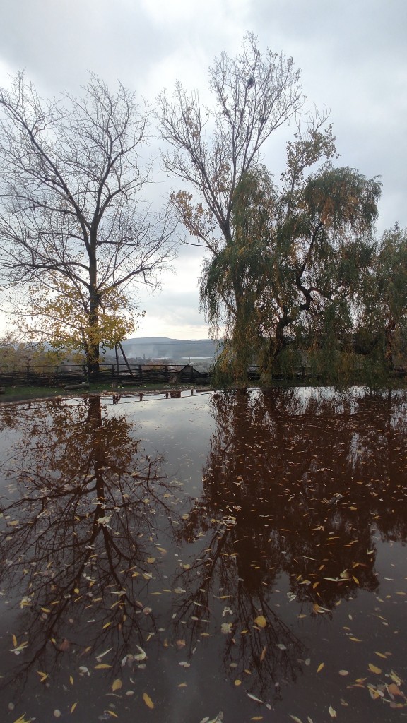 577826753_25144991235113214_6602222067323186016_n