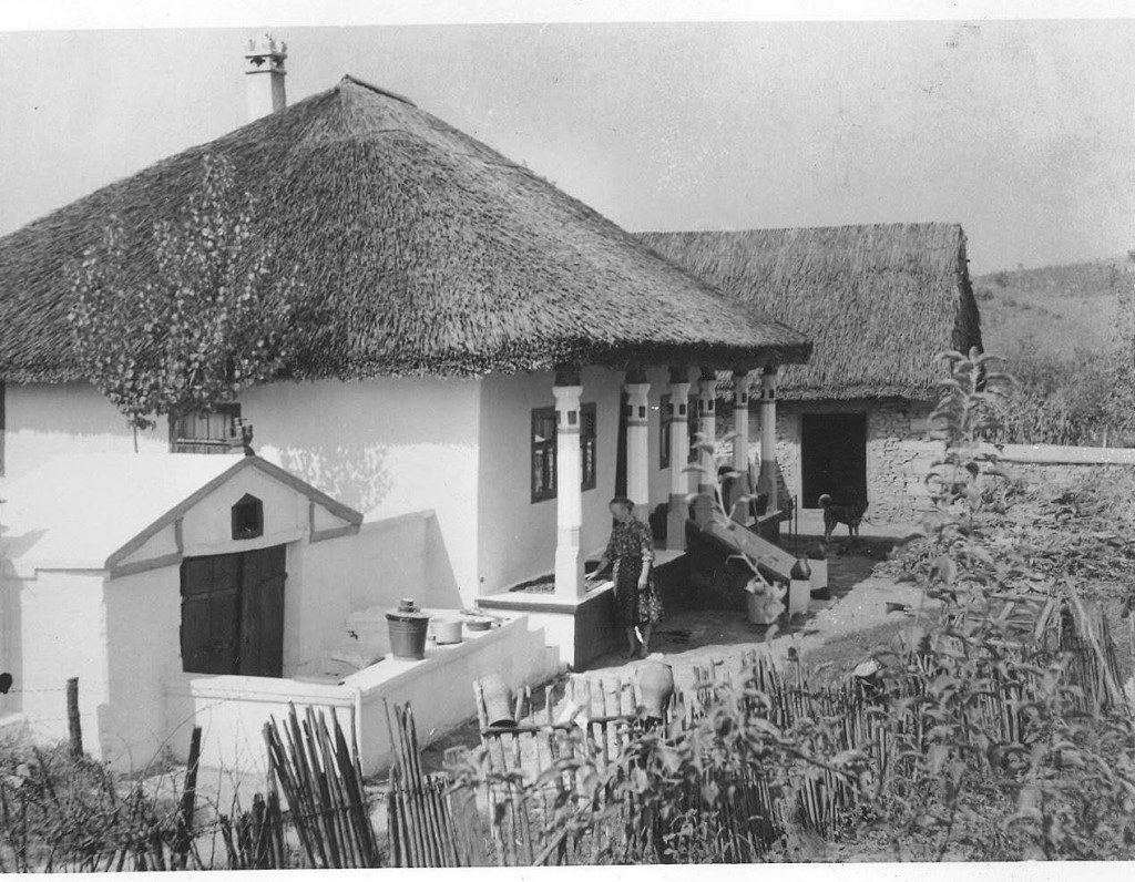 616268910_1690315678899632_7468652221737674073_n