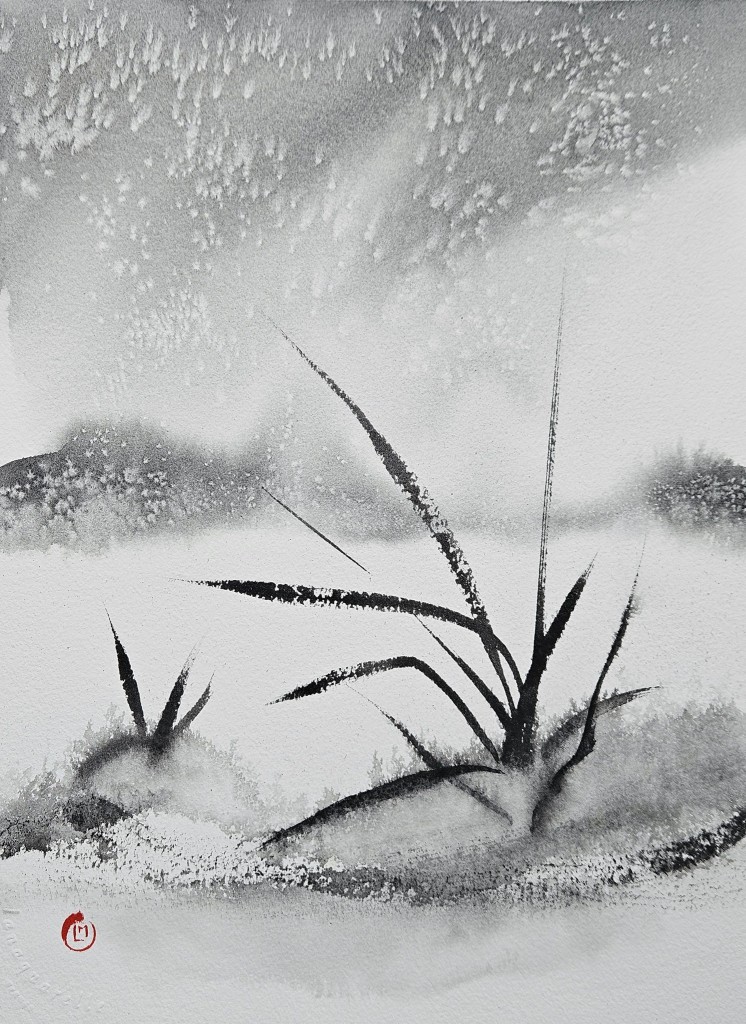 625187880_25889264837359611_8117371751073440183_n