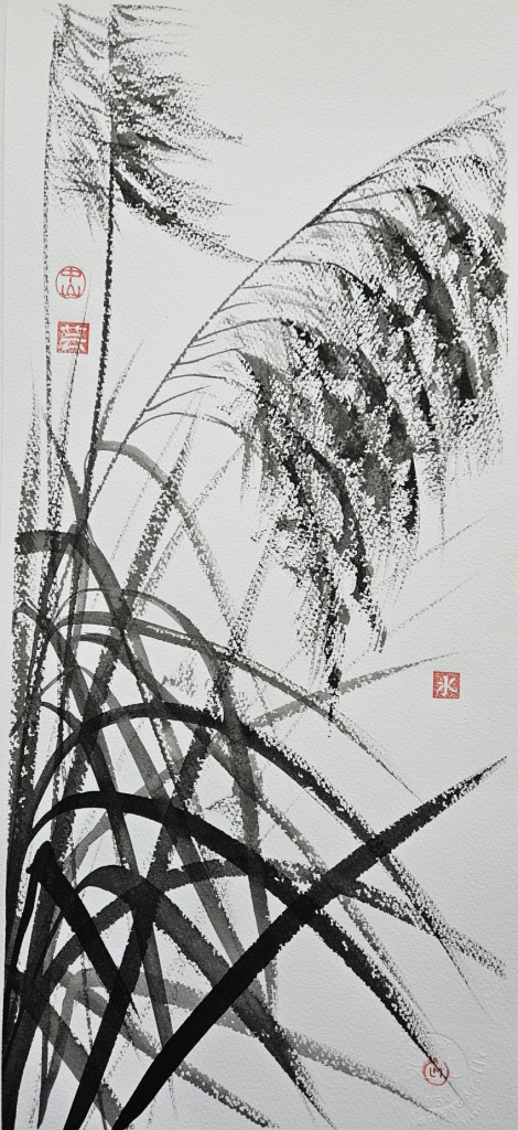 625742602_33723674923944814_7013031890719158848_n