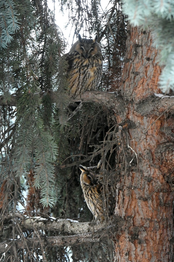 631269197_33809813578664281_66181697082981624_n