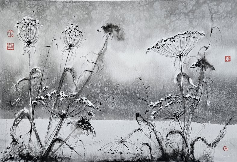 638316431_26059825850303508_4150074803279189095_n