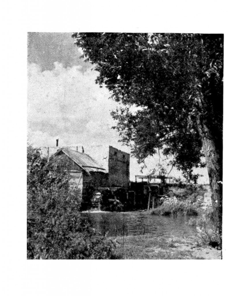 Document Microsoft Word nou