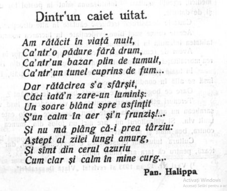 Pan Halippa