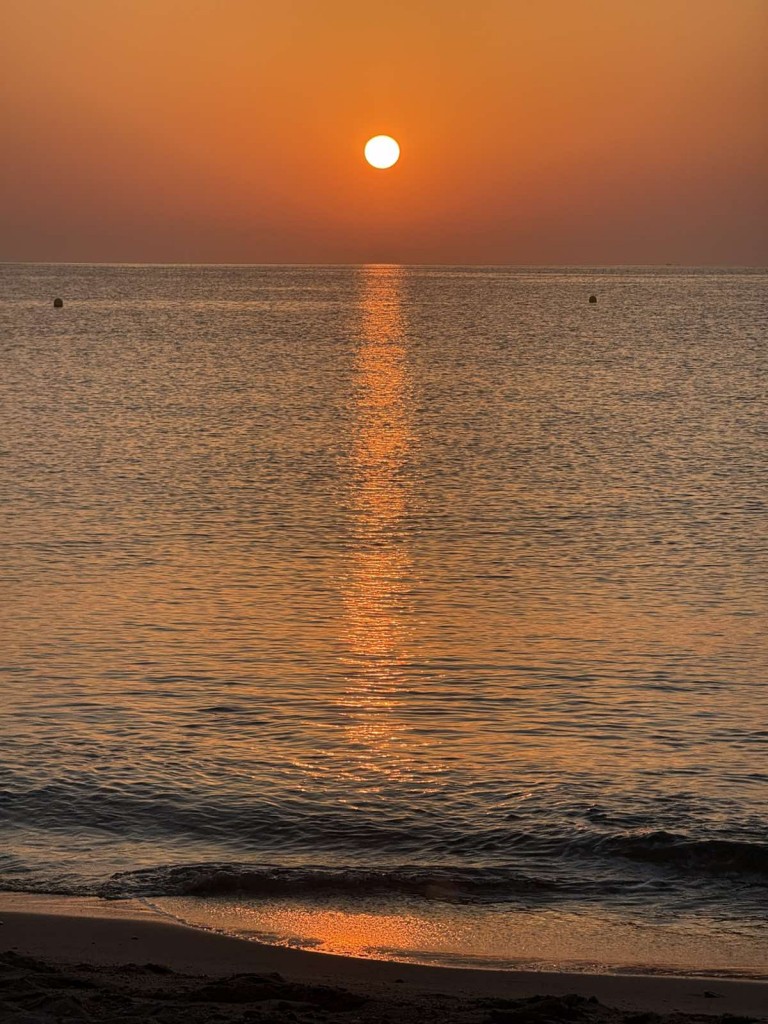 viber_image_2025-08-19_00-02-51-913