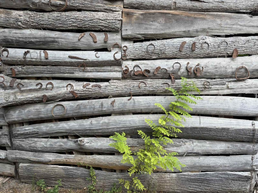 viber_image_2025-08-29_12-47-56-458