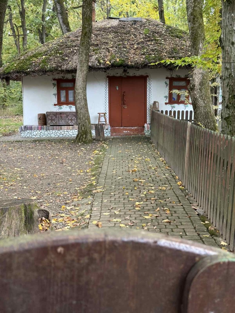 viber_image_2025-10-15_08-01-46-738