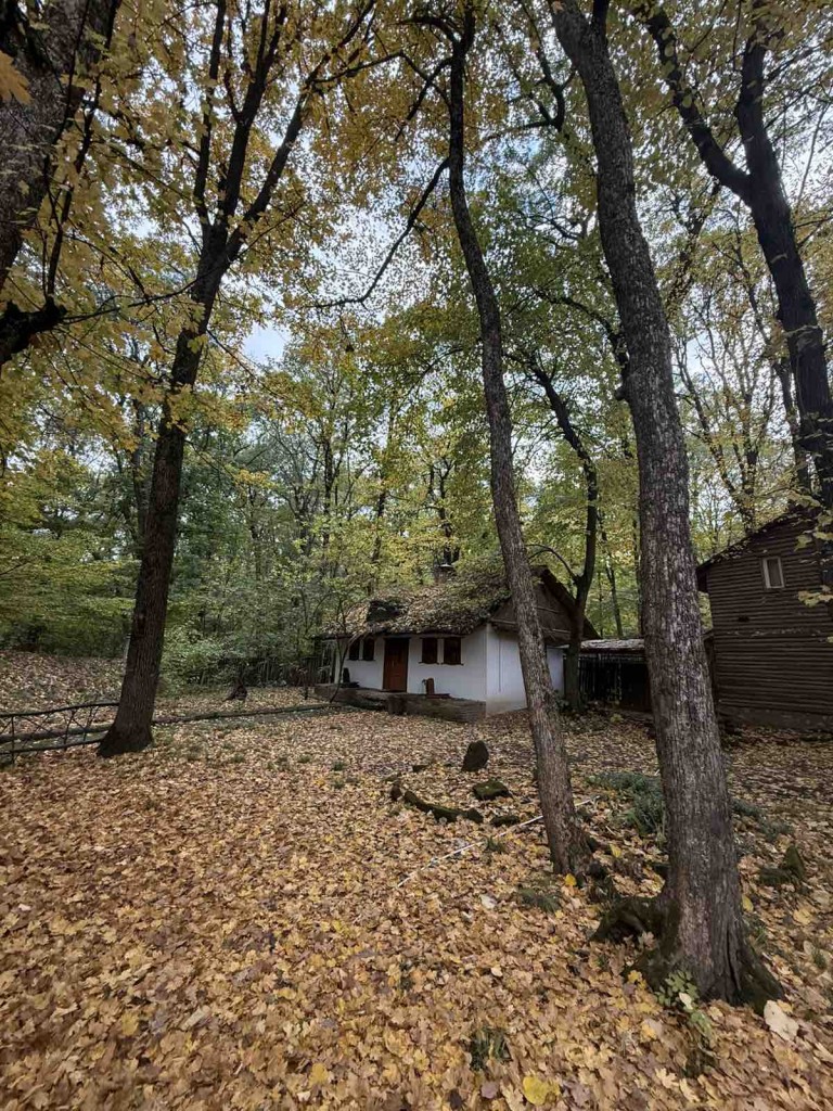 viber_image_2025-10-15_08-01-47-500