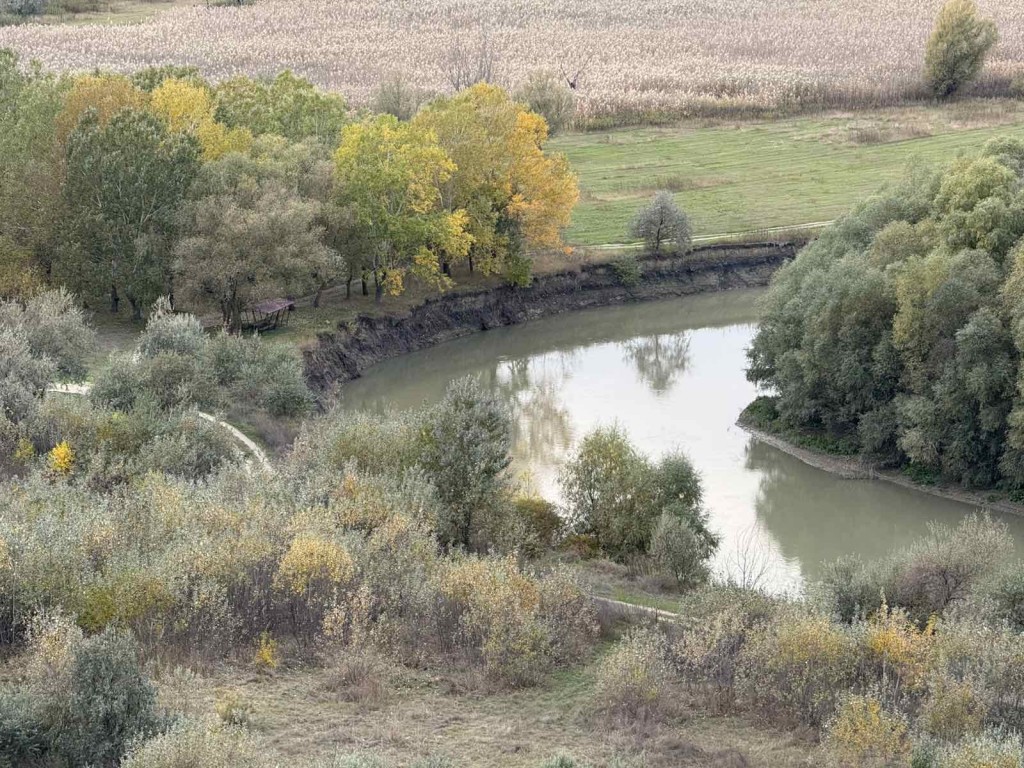 viber_image_2025-10-25_14-19-28-469