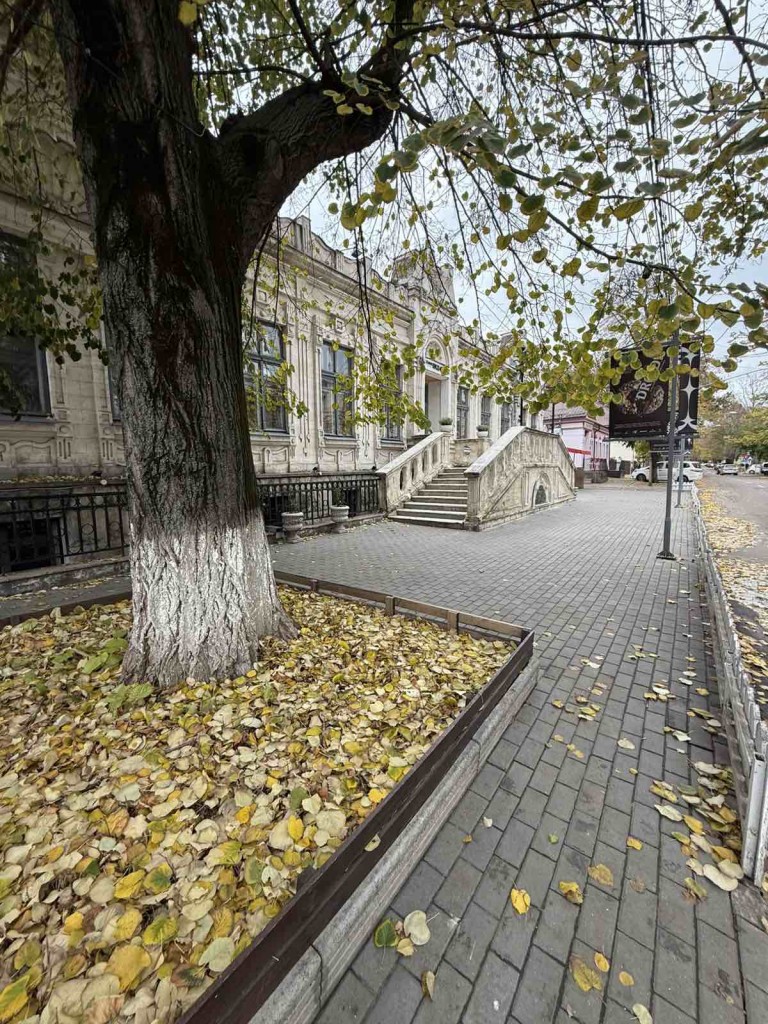 viber_image_2025-10-26_15-30-24-797