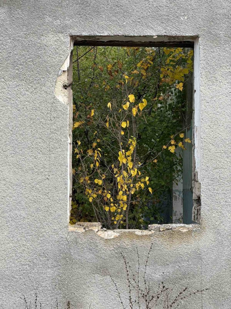 viber_image_2025-10-30_11-53-39-458