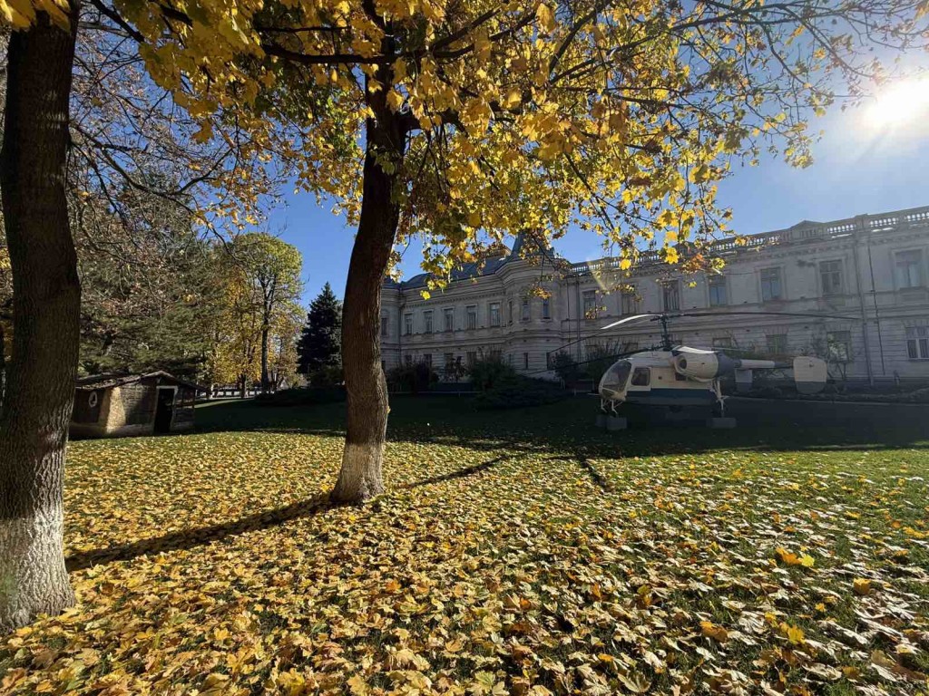 viber_image_2025-11-02_20-59-08-606