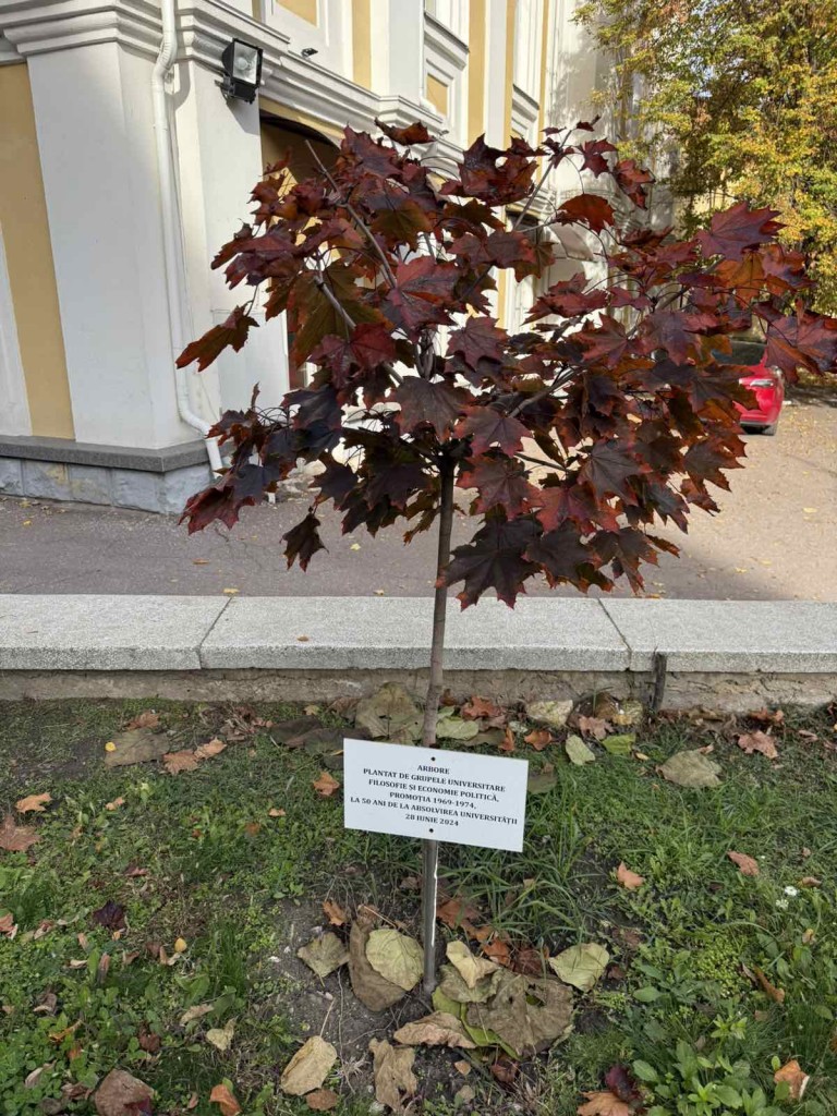 viber_image_2025-11-03_15-41-52-969