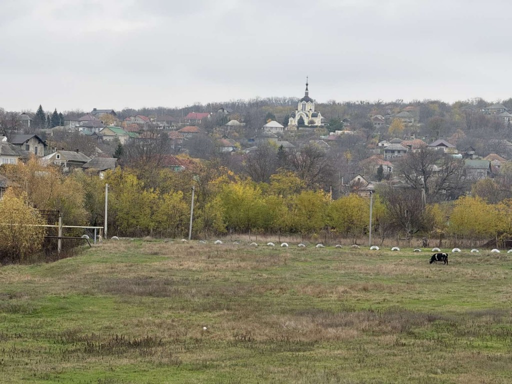 viber_image_2025-11-06_19-25-52-525