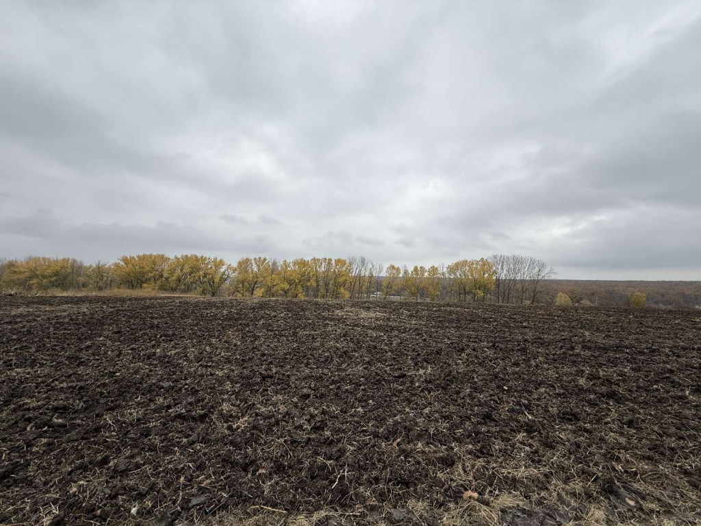 viber_image_2025-11-06_19-34-01-781