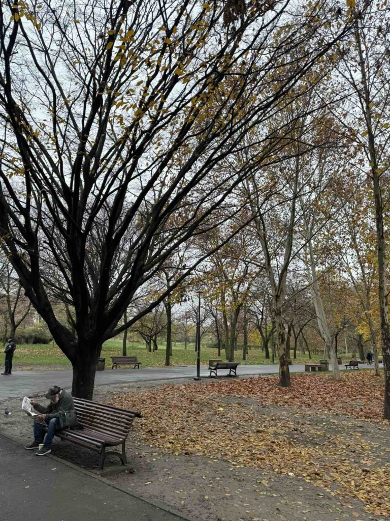 viber_image_2025-11-15_17-50-24-693