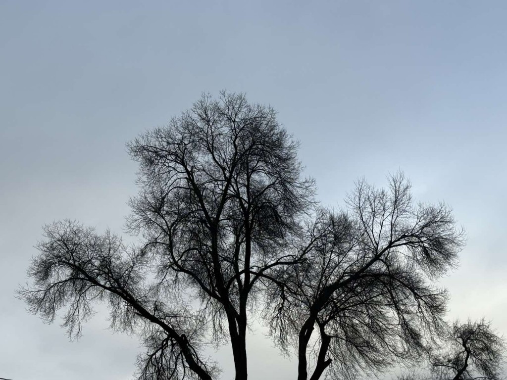 viber_image_2025-12-14_20-36-41-634