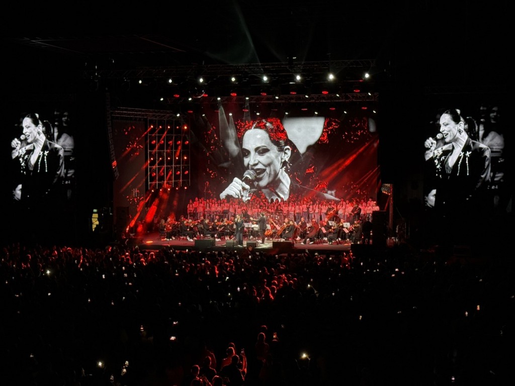 viber_image_2025-12-21_22-51-26-912