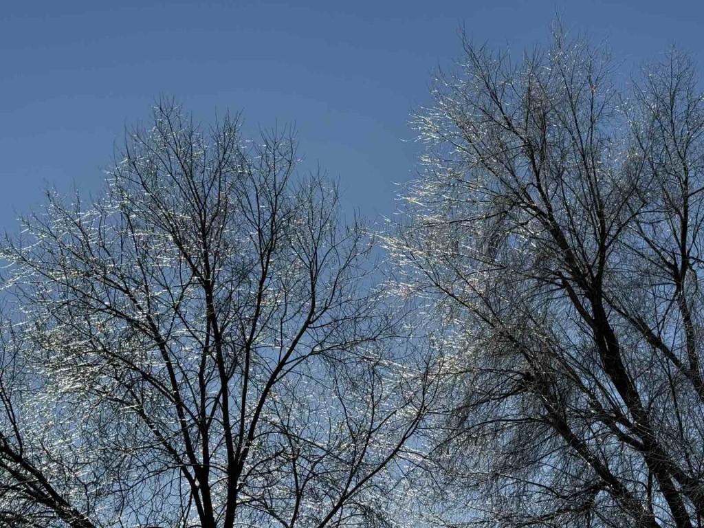 viber_image_2026-02-09_19-42-25-197